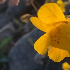 Meet your Posher, Ariana